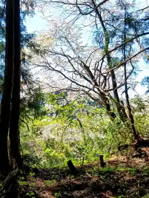 月山神社(山形県)