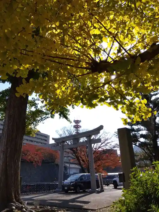福井神社(福井県)
