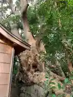 鎮守宮(千葉県)