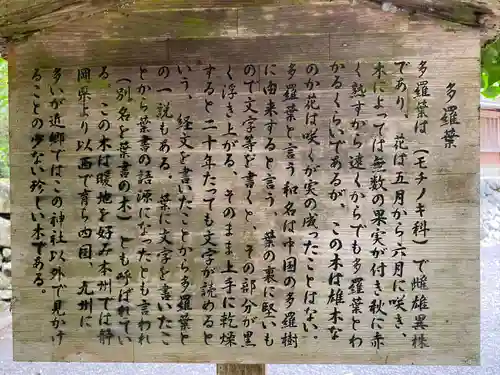 丹生川上神社（下社）(奈良県)