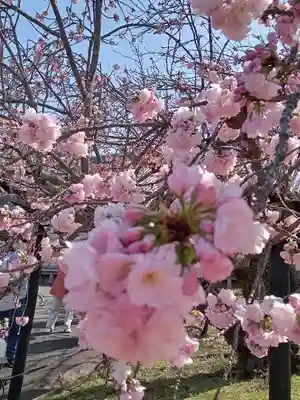 醍醐寺(京都府)