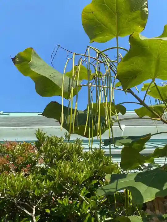 飯野八幡宮(福島県)