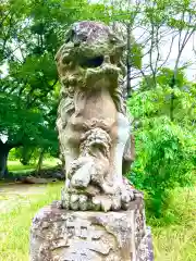 金村別雷神社(茨城県)