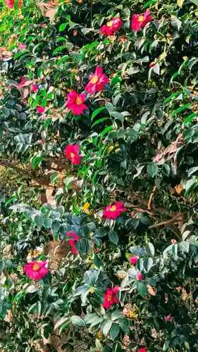 前原御嶽神社の自然