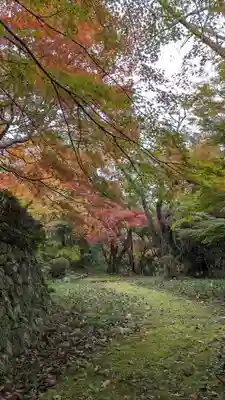 勝持寺（花の寺）(京都府)