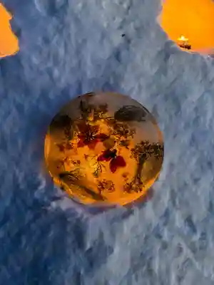 豊平神社の周辺