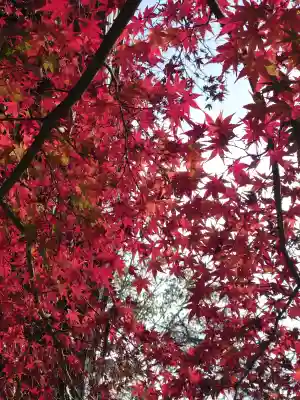 鈴鹿明神社の{uncategorized: "未分類", other: "その他", undefined: "問題あり", building: "その他建物", grave: "お墓", sacred_gate: "鳥居", guardian: "狛犬", statue: "像", buddha: "仏像", history: "歴史", nature: "自然", garden: "庭園", animal: "動物", pagoda: "塔", temizu: "手水舎", mountain_gate: "山門・神門", sanctuary: "本殿・本堂", subordinate: "末社・摂社", art: "芸術", scenery: "景色", jizo: "地蔵", ema: "絵馬", goshuin: "御朱印", omikuji: "おみくじ", items: "授与品その他", amulet: "お守り", goshuincho: "御朱印帳", eats: "食事", festival: "お祭り", votive_dance: "神楽", shichigosan: "七五三参", wedding: "結婚式", experience: "体験その他", initially: "初詣", around: "周辺", anti_infection: "感染症対策"}