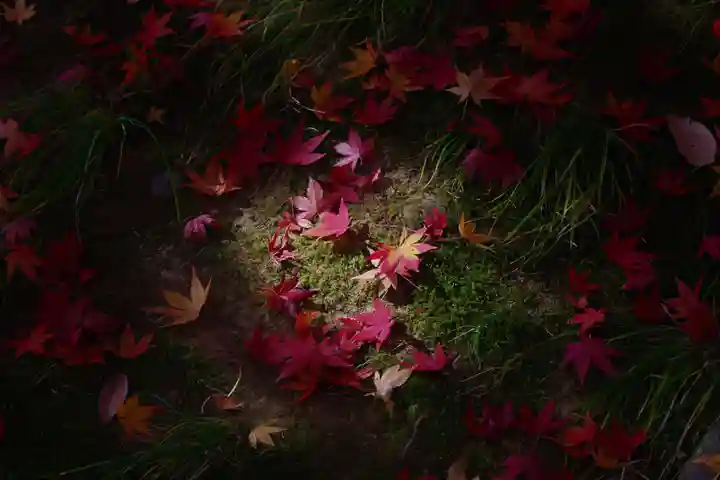 国宝 大法寺の庭園