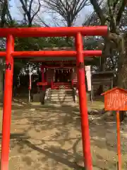 篠山神社の鳥居