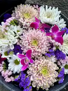 鹿島台神社(宮城県)(2025年05月02日(金) 08時49分54秒投稿)