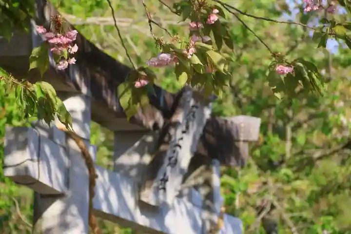 大六天麻王神社の鳥居