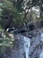 小蔵寺 白糸滝観音の{uncategorized: "未分類", other: "その他", undefined: "問題あり", building: "その他建物", grave: "お墓", sacred_gate: "鳥居", guardian: "狛犬", statue: "像", buddha: "仏像", history: "歴史", nature: "自然", garden: "庭園", animal: "動物", pagoda: "塔", temizu: "手水舎", mountain_gate: "山門・神門", sanctuary: "本殿・本堂", subordinate: "末社・摂社", art: "芸術", scenery: "景色", jizo: "地蔵", ema: "絵馬", goshuin: "御朱印", omikuji: "おみくじ", items: "授与品その他", amulet: "お守り", goshuincho: "御朱印帳", eats: "食事", festival: "お祭り", votive_dance: "神楽", shichigosan: "七五三参", wedding: "結婚式", experience: "体験その他", initially: "初詣", around: "周辺", anti_infection: "感染症対策"}