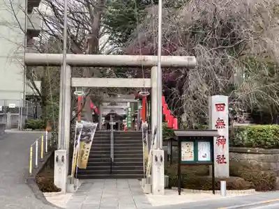 田無神社の鳥居