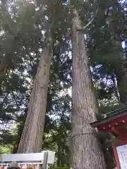 日光二荒山神社(栃木県)