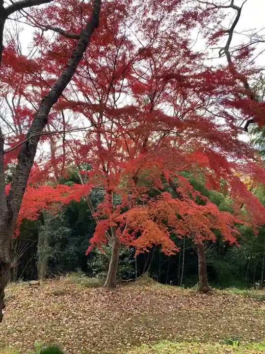 志波彦神社・鹽竈神社の自然