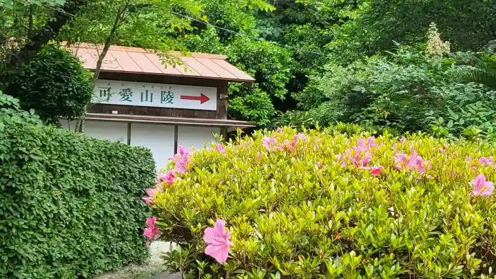 可愛山陵の{uncategorized: "未分類", other: "その他", undefined: "問題あり", building: "その他建物", grave: "お墓", sacred_gate: "鳥居", guardian: "狛犬", statue: "像", buddha: "仏像", history: "歴史", nature: "自然", garden: "庭園", animal: "動物", pagoda: "塔", temizu: "手水舎", mountain_gate: "山門・神門", sanctuary: "本殿・本堂", subordinate: "末社・摂社", art: "芸術", scenery: "景色", jizo: "地蔵", ema: "絵馬", goshuin: "御朱印", omikuji: "おみくじ", items: "授与品その他", amulet: "お守り", goshuincho: "御朱印帳", eats: "食事", festival: "お祭り", votive_dance: "神楽", shichigosan: "七五三参", wedding: "結婚式", experience: "体験その他", initially: "初詣", around: "周辺", anti_infection: "感染症対策"}