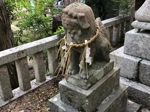 坂本八幡神社の狛犬