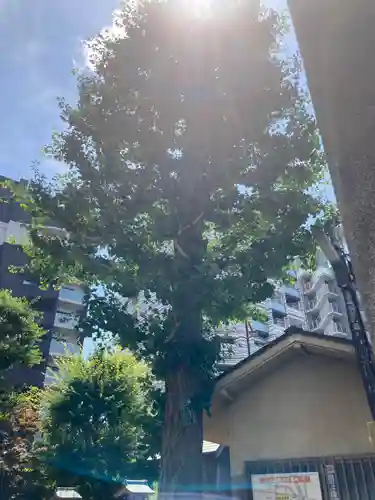 厳嶋神社(東京都)