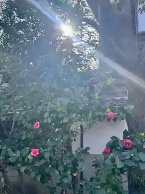 長建寺の{uncategorized: "未分類", other: "その他", undefined: "問題あり", building: "その他建物", grave: "お墓", sacred_gate: "鳥居", guardian: "狛犬", statue: "像", buddha: "仏像", history: "歴史", nature: "自然", garden: "庭園", animal: "動物", pagoda: "塔", temizu: "手水舎", mountain_gate: "山門・神門", sanctuary: "本殿・本堂", subordinate: "末社・摂社", art: "芸術", scenery: "景色", jizo: "地蔵", ema: "絵馬", goshuin: "御朱印", omikuji: "おみくじ", items: "授与品その他", amulet: "お守り", goshuincho: "御朱印帳", eats: "食事", festival: "お祭り", votive_dance: "神楽", shichigosan: "七五三参", wedding: "結婚式", experience: "体験その他", initially: "初詣", around: "周辺", anti_infection: "感染症対策"}