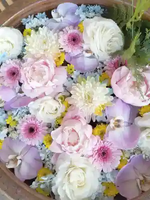 多賀神社の手水舎