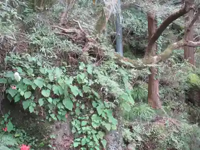 観音院(埼玉県)