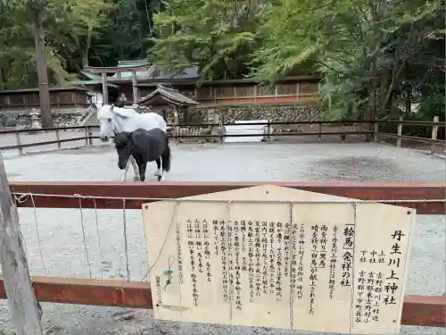 丹生川上神社（下社）(奈良県)