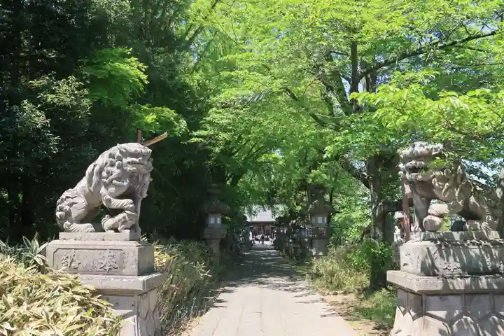 神炊館神社 ⁂奥州須賀川総鎮守⁂の狛犬