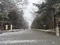 北海道神宮の景色