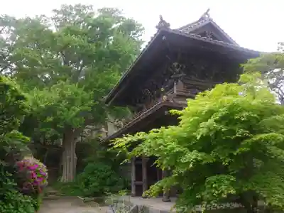 英勝寺の山門・神門