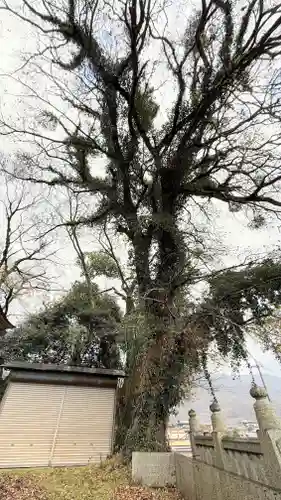 下加茂神社(徳島県)