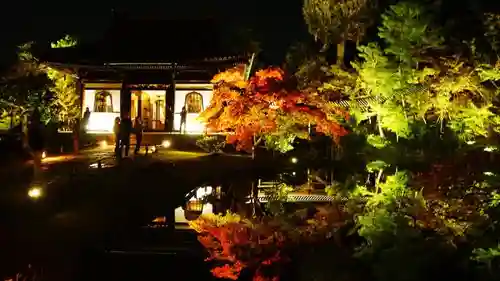 高台寺（高台寿聖禅寺・高臺寺）の庭園