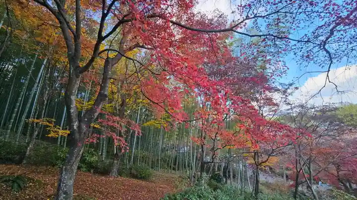 天龍寺(京都府)