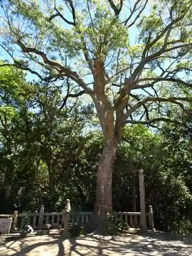 八幡宮(岡山県)