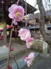 河桁御河辺神社の自然