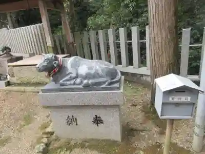 斑鳩神社(奈良県)
