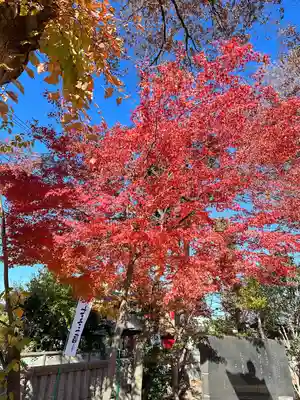 小野神社(東京都)