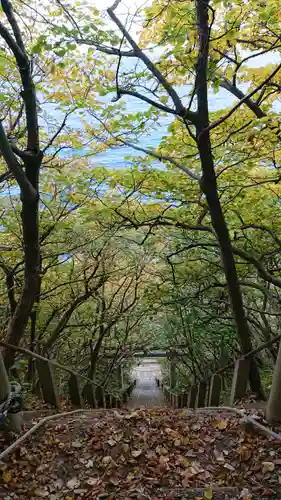 太田山神社（本殿）のその他建物