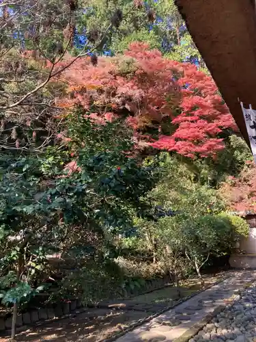 杉本寺(神奈川県)