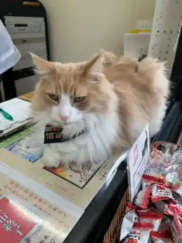 駒込妙義神社(東京都)