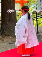 山家神社の神楽