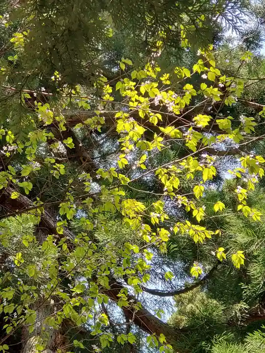 磐椅神社(福島県)