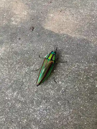瀧宮神社(広島県)