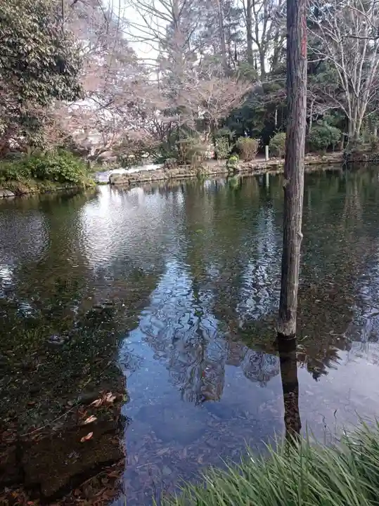 富士山本宮浅間大社の御朱印