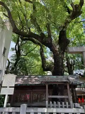 朝日神社(愛知県)