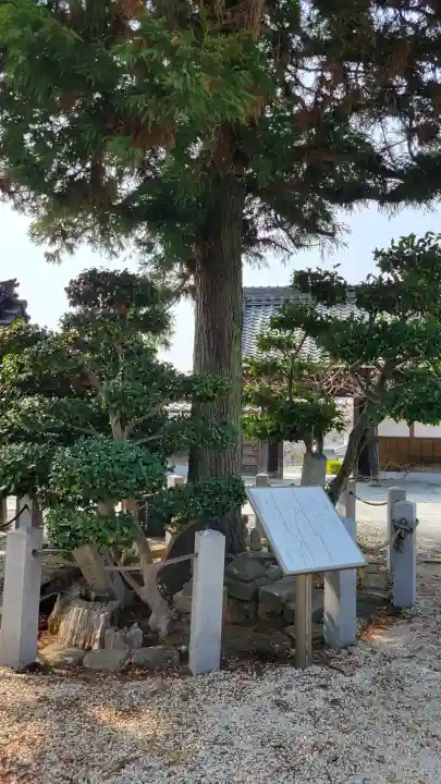 長福寺の{uncategorized: "未分類", other: "その他", undefined: "問題あり", building: "その他建物", grave: "お墓", sacred_gate: "鳥居", guardian: "狛犬", statue: "像", buddha: "仏像", history: "歴史", nature: "自然", garden: "庭園", animal: "動物", pagoda: "塔", temizu: "手水舎", mountain_gate: "山門・神門", sanctuary: "本殿・本堂", subordinate: "末社・摂社", art: "芸術", scenery: "景色", jizo: "地蔵", ema: "絵馬", goshuin: "御朱印", omikuji: "おみくじ", items: "授与品その他", amulet: "お守り", goshuincho: "御朱印帳", eats: "食事", festival: "お祭り", votive_dance: "神楽", shichigosan: "七五三参", wedding: "結婚式", experience: "体験その他", initially: "初詣", around: "周辺", anti_infection: "感染症対策"}