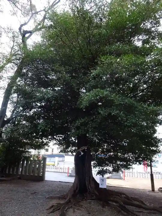 忠岡神社(大阪府)