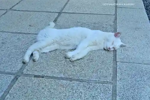 愛宕神社(東京都)