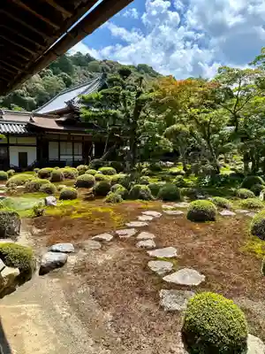 金剛寺の庭園