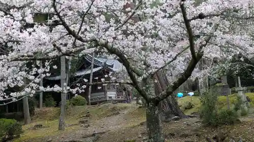 醍醐寺(京都府)