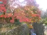 理智光寺跡(理智光寺址)<史跡>の自然